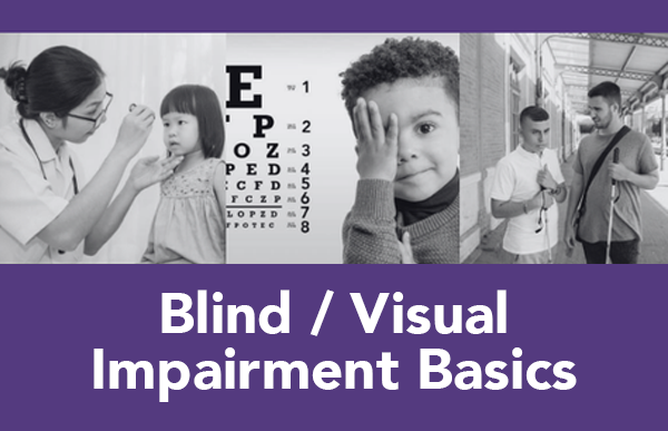 Blind / Visual Impairment Basics
