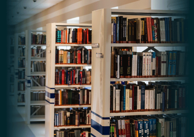 Library Shelves